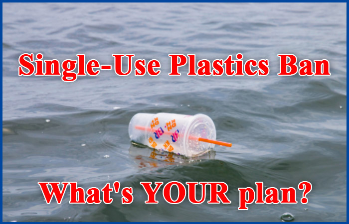 Ready, Set, Go Your Guide To A Smooth Transition To The Single Use Plastics Ban In Canada
